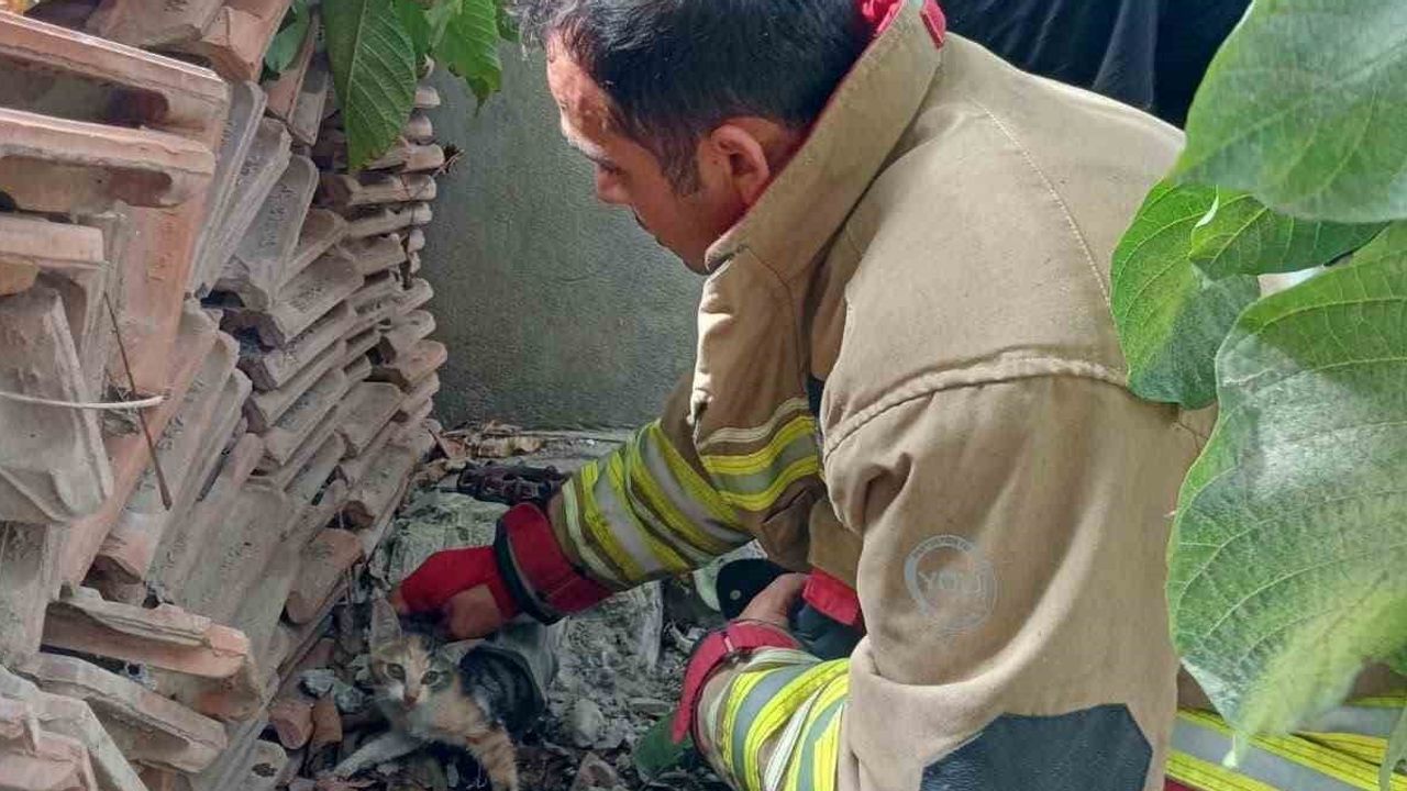 İtfaiye operasyonuyla vanada mahsur kalan yavru kedi kurtarıldı