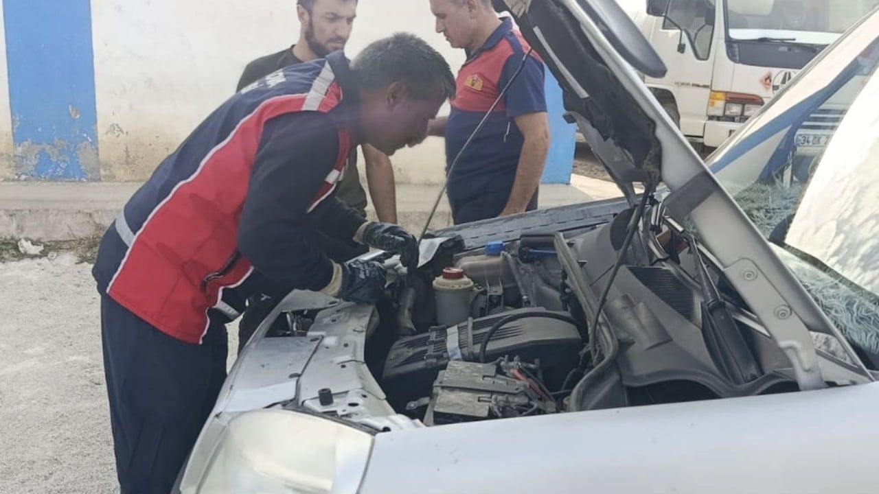 İtfaiyenin iki saatlik müdahalesiyle Yüksekova'da motor bölümünden çıkarılan kedi