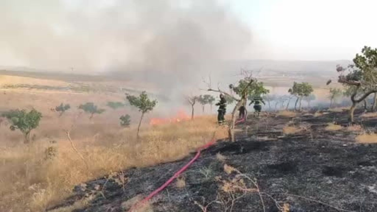 İtfaiyenin müdahalesiyle OSB yakınlarındaki anız yangını büyümeden söndürüldü