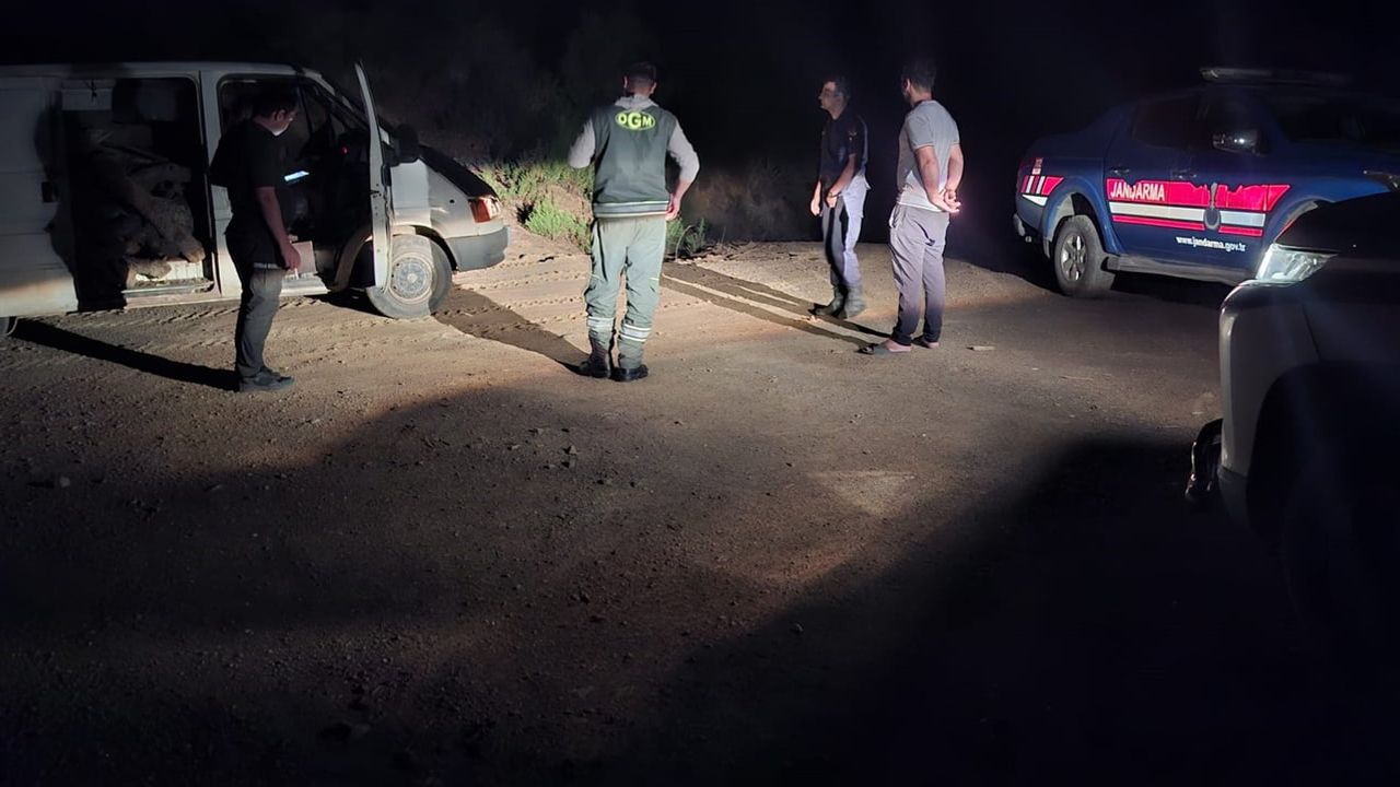 izinsiz orman emvali taşıyan iki kişi suçüstü yakalandı