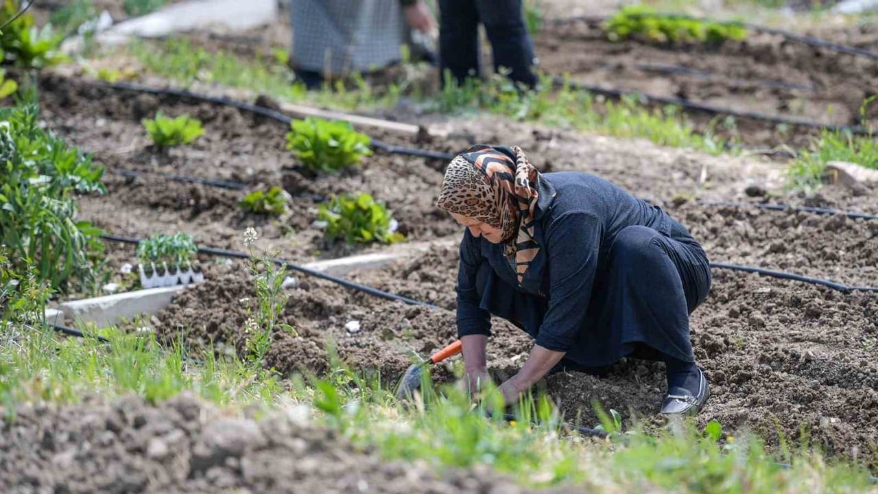 İzmir'in iklim deneyimi Avrupa kentlerine örnek olacak