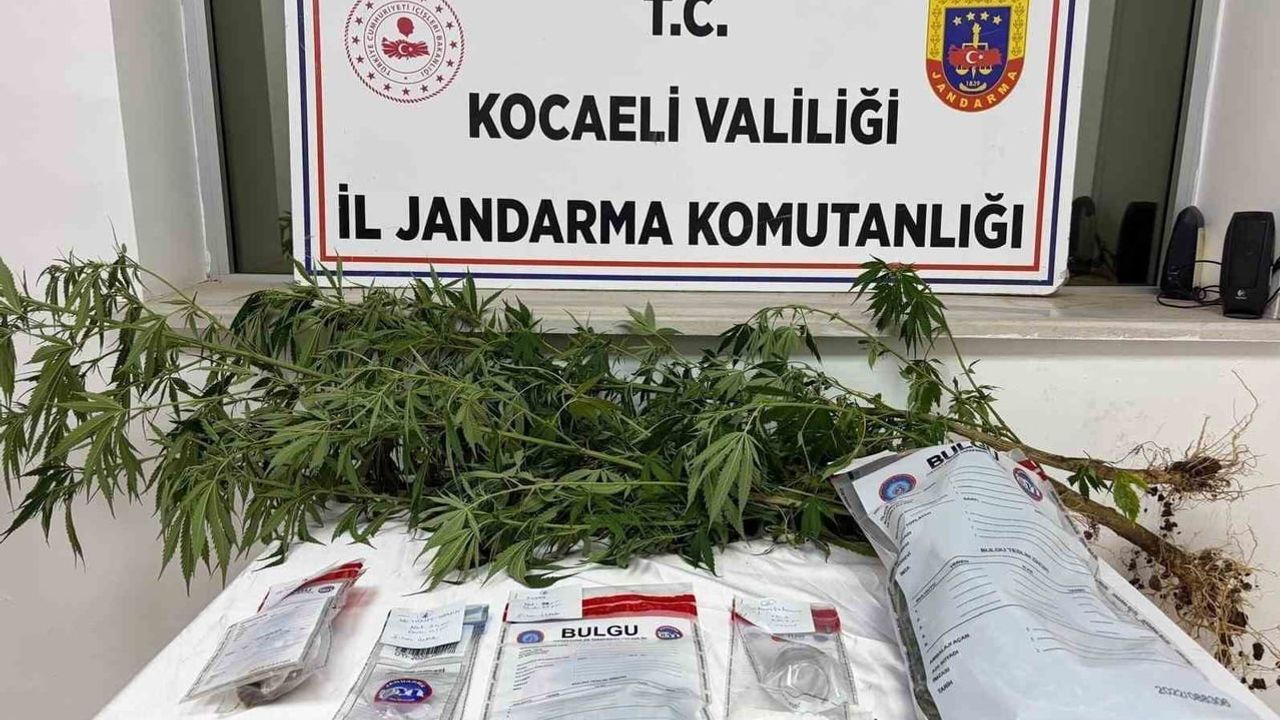 İzmit'te jandarma iki adresteki operasyonda çeşitli uyuşturucular ele geçirdi