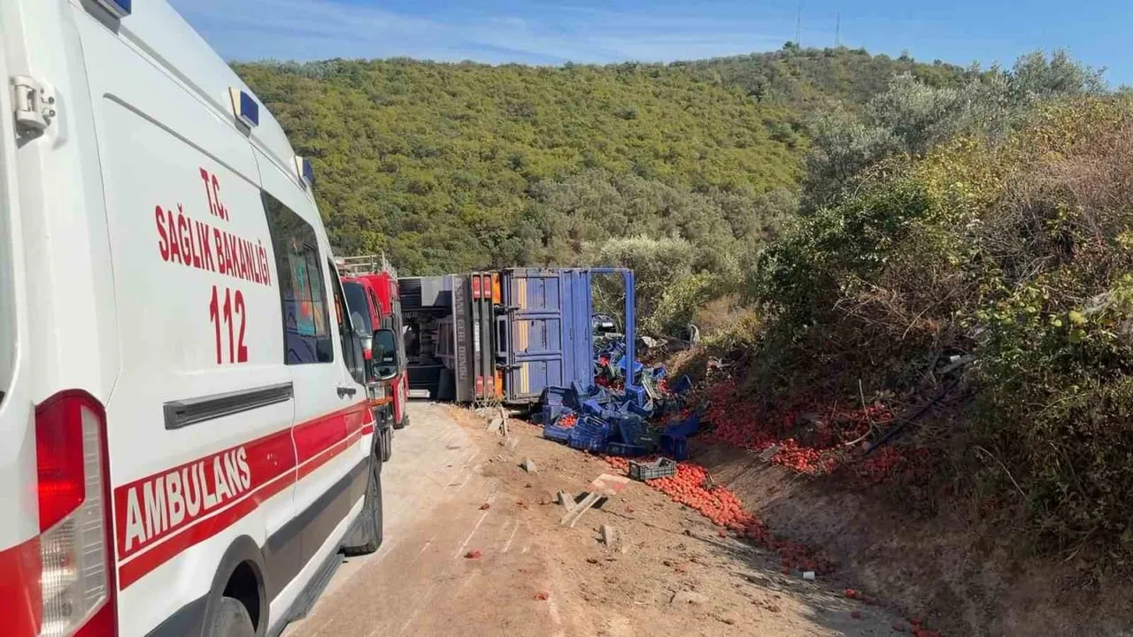 İznik'te virajı alamayan kamyon park halindeki otomobile çarptı: bir kişi yaşamını yitirdi