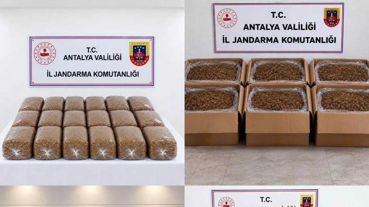 Jandarma operasyonunda yarım ton kıyılmış tütün ve binlerce kaçak ürün ele geçirildi