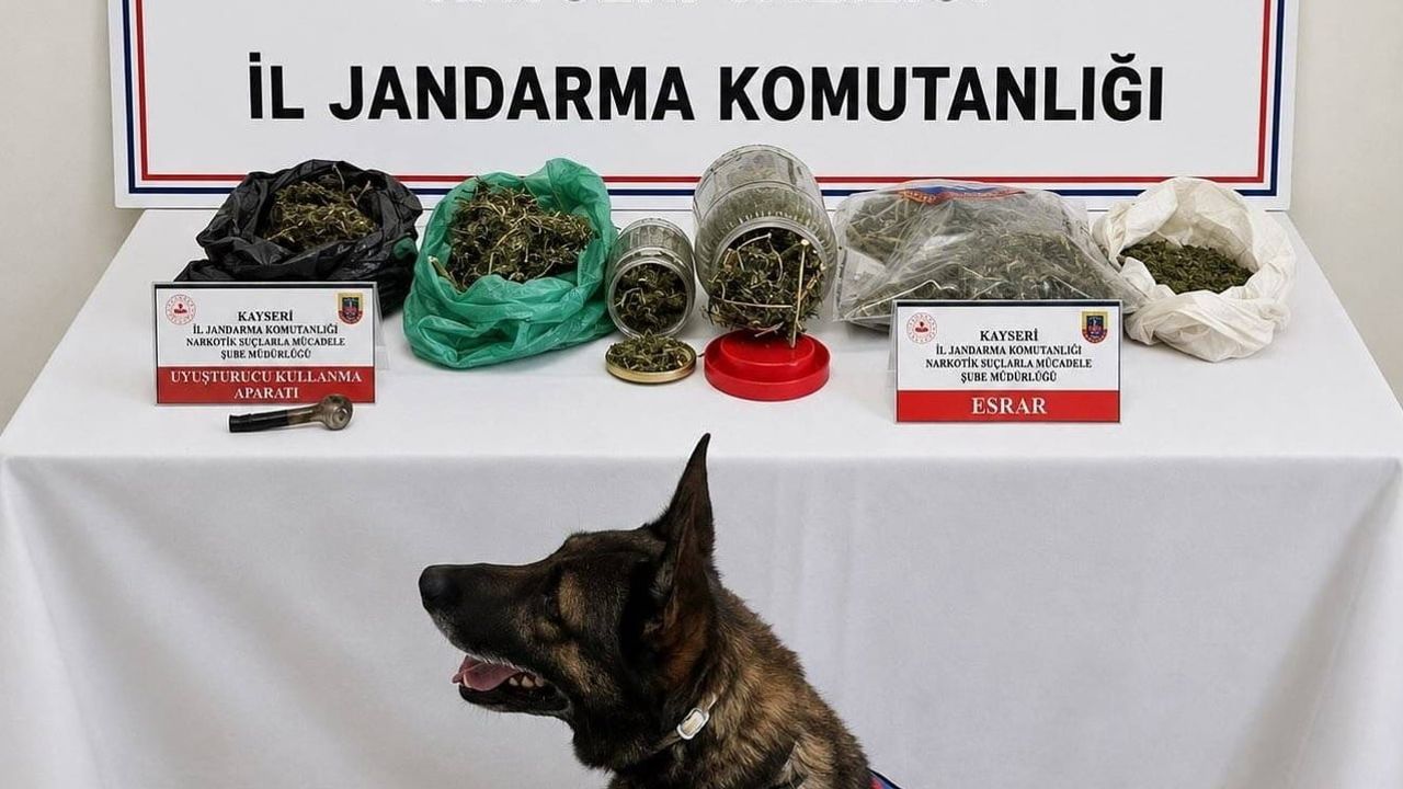 Jandarmanın Yahyalı baskınında bin 200 gram uyuşturucu ile silah ele geçirildi