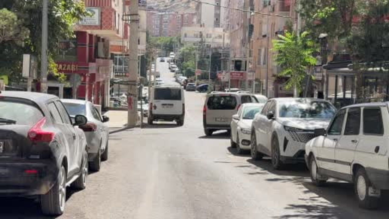 Jeoloji mühendisi Çelik'ten kulelere değil ahşaba dönüş çağrısı