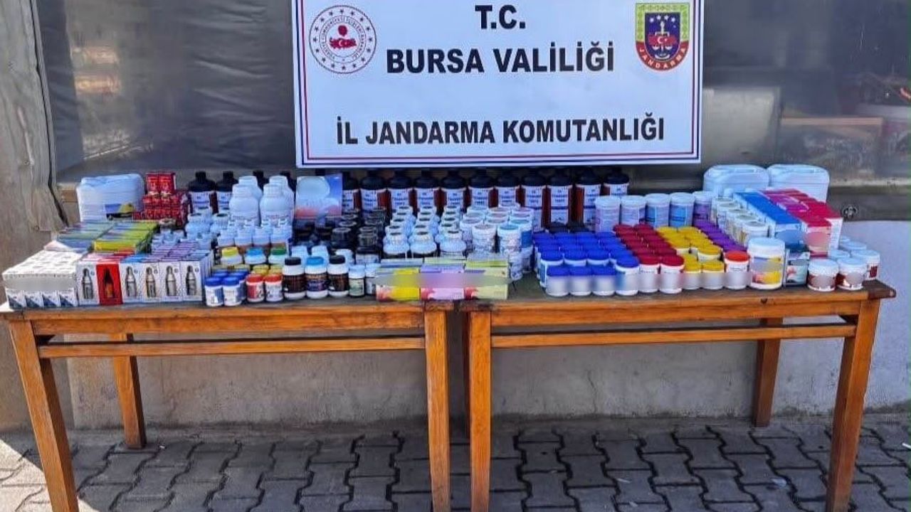 Kaçak kuş ilaçlarına jandarma baskını Gürsu'da