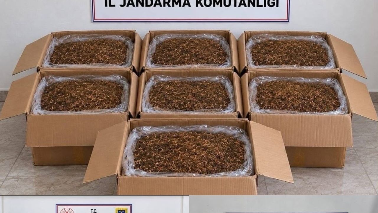 Kaçak tütüne yönelik Alanya ve Döşemealtı'nda eş zamanlı baskın