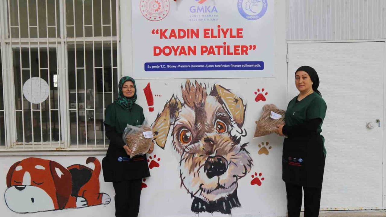 Kadın eliyle döngüsel dönüşüm: sıfır atıkla sürdürülebilir hayvan maması