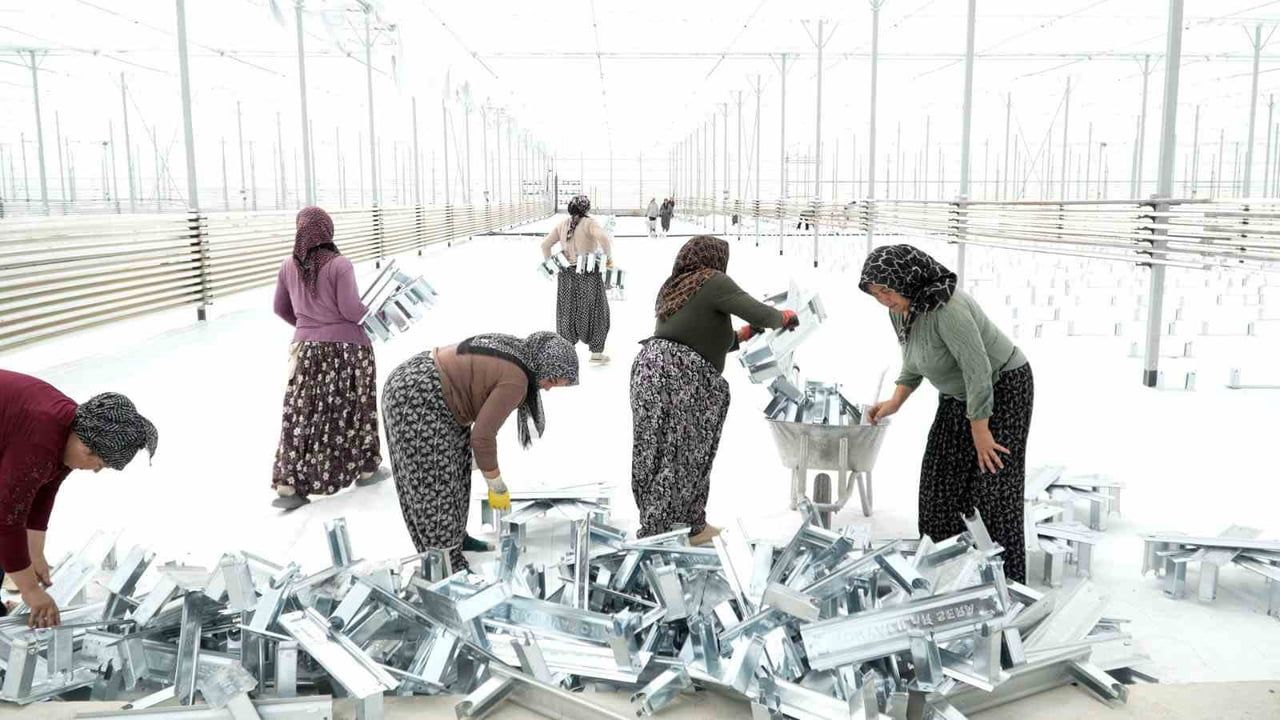Kadınlar jeotermal serayı elleriyle kurdu, üretime hazırlanıyor