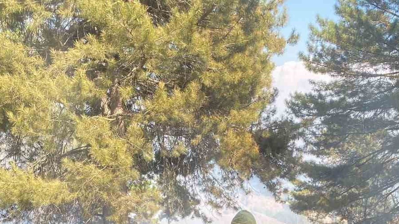 Kahramanmaraş'ta yoğun ekip müdahalesiyle orman yangını kontrol altına alındı