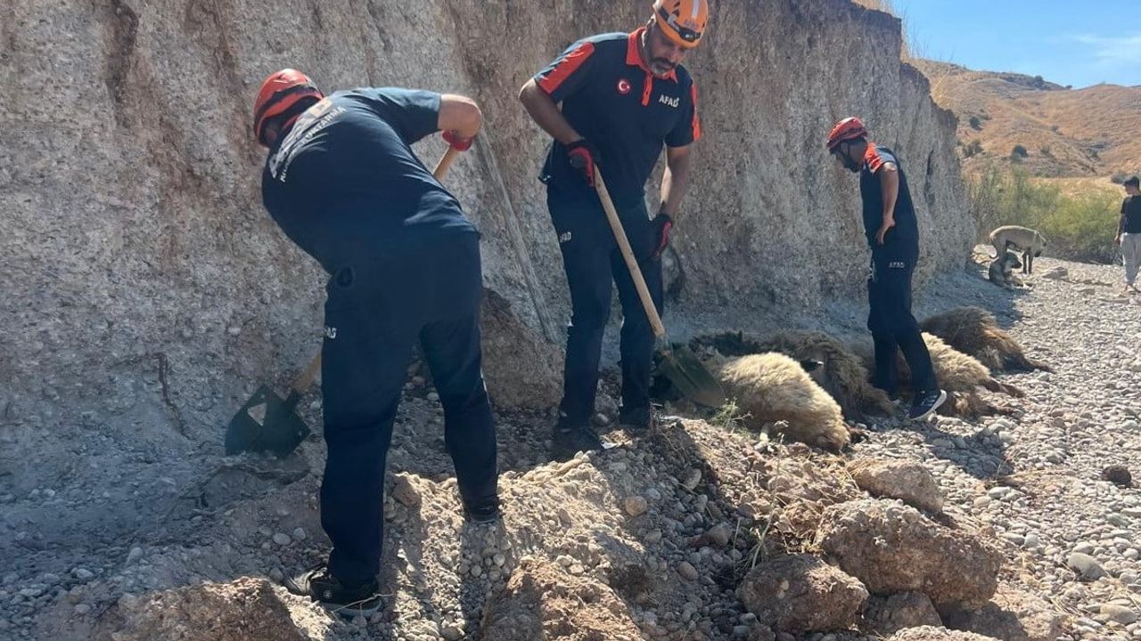 Kahta'nın Güzelçay köyünde toprak kayması: 3 küçükbaş kurtarıldı, 6'sı telef oldu