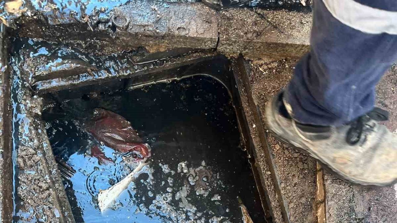 Kanalizasyondan çuval kömür çıktı Ayvalık'ta altyapı ve çevre endişesi