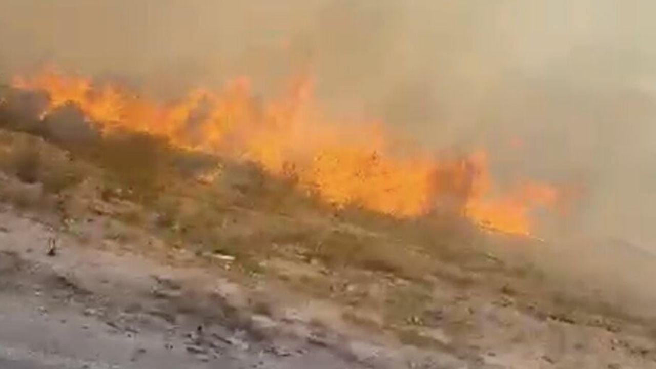 Kapaklı'da otluk yangını itfaiye müdahalesiyle söndürüldü