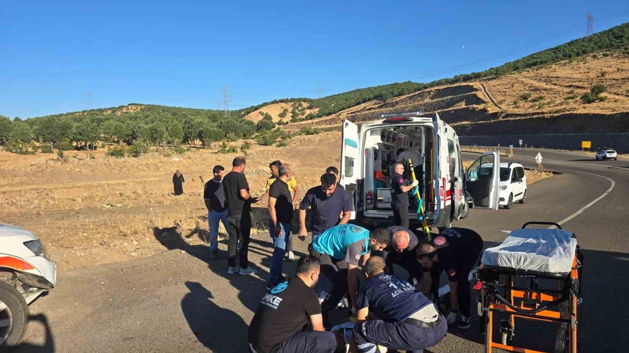 Kara yolunda kontrol kaybı: Bingöl'de kamyonet şarampole yuvarlandı