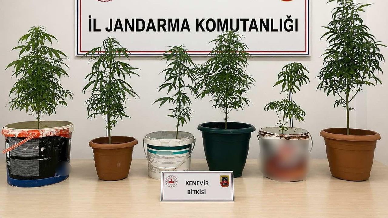 Karabük'te 4 ayrı noktada operasyon: 20 kilogram bandrolsüz tütün ve uyuşturucu bulundu