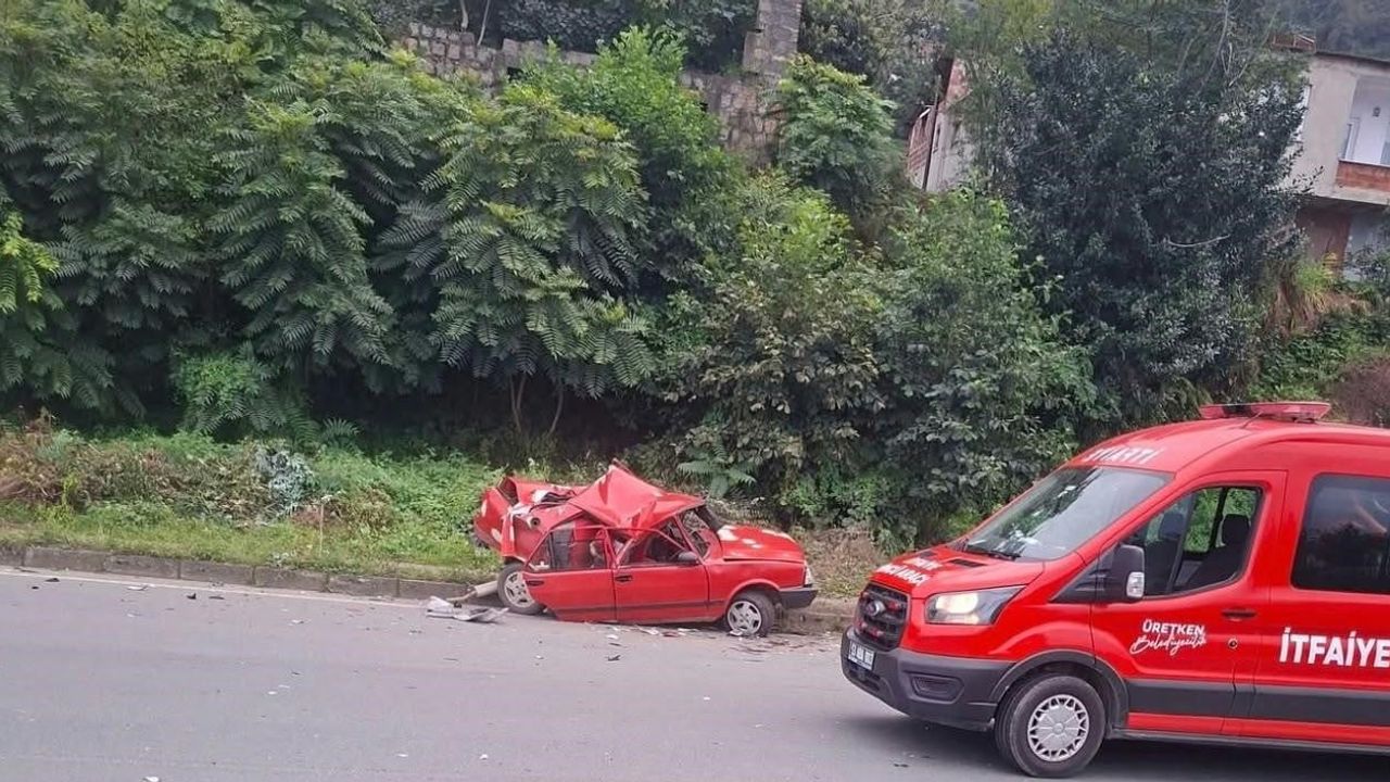Karadeniz sahil yolunda arıza yapan otomobile arkadan tır çarptı, 2 kişi yaralandı