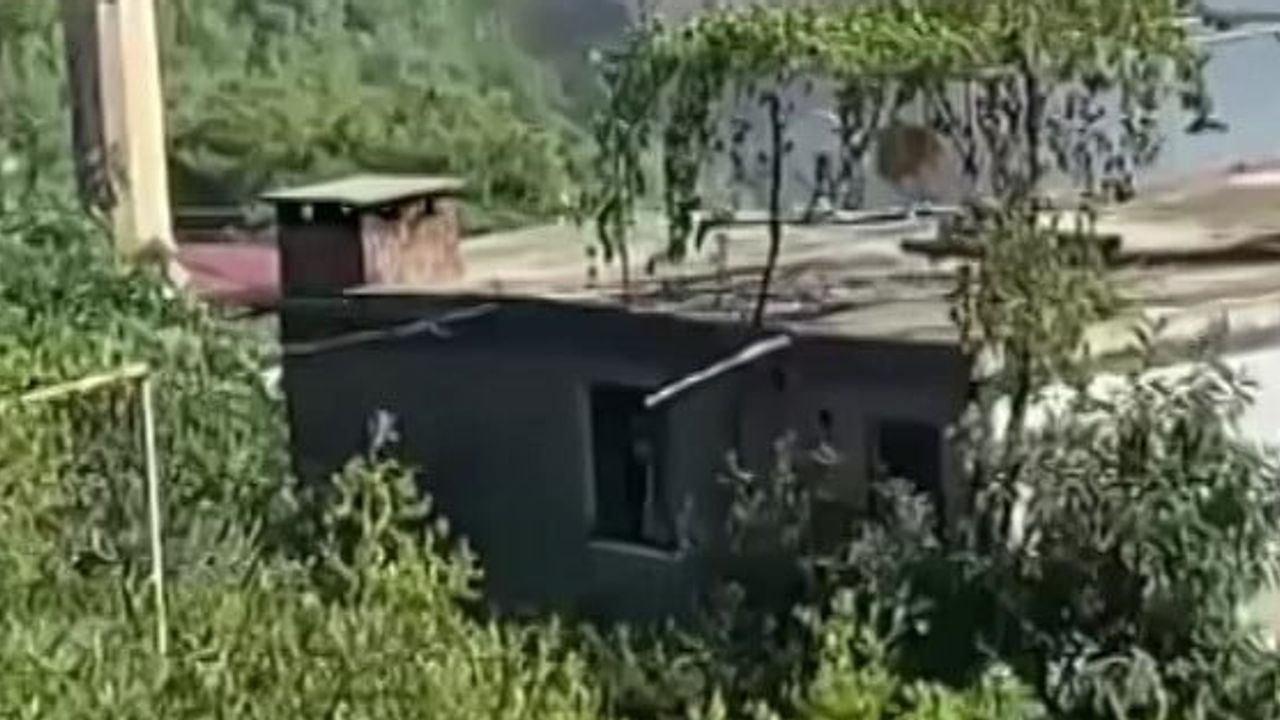 Karaisalı Çotlu Mahallesi'nde orman yangını, ekiplerin müdahalesi sürüyor