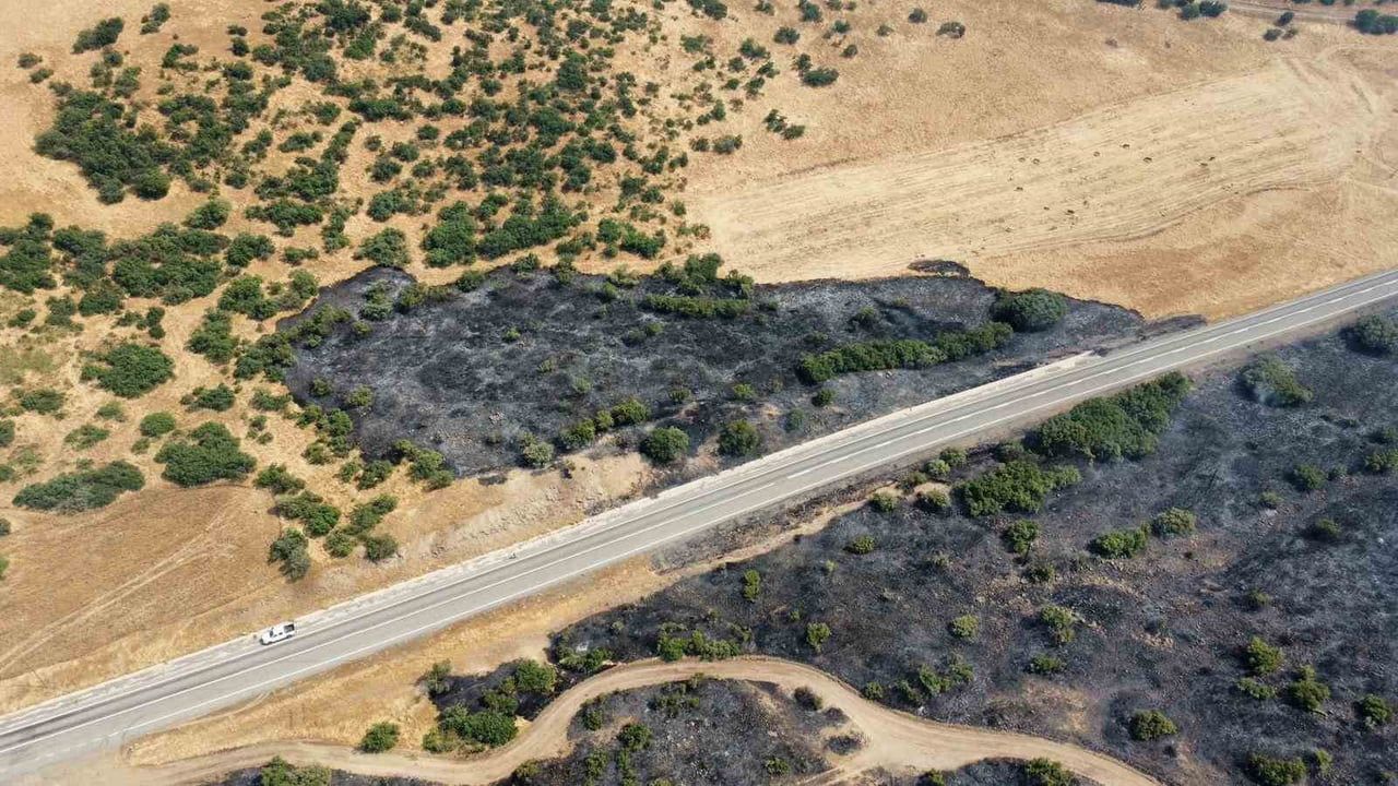 Karakoçan'da kırsal yangın hızla ormana yayıldı, ekipler sahada