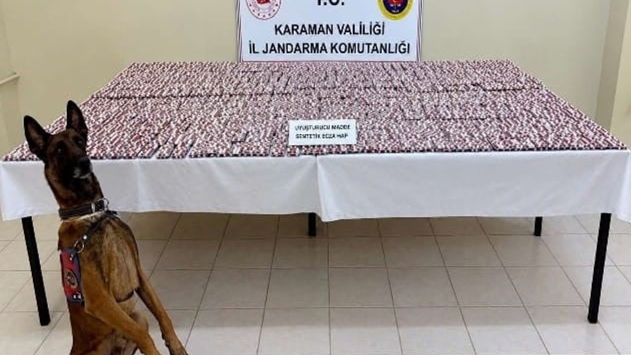 Karaman'da kapsamlı jandarma uygulaması: 20 bin hap ve 8,15 kilo esrar ele geçirildi