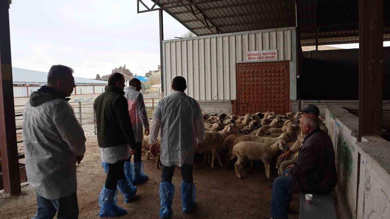 Karapınar’da et üretim zincirine kapsamlı denetim