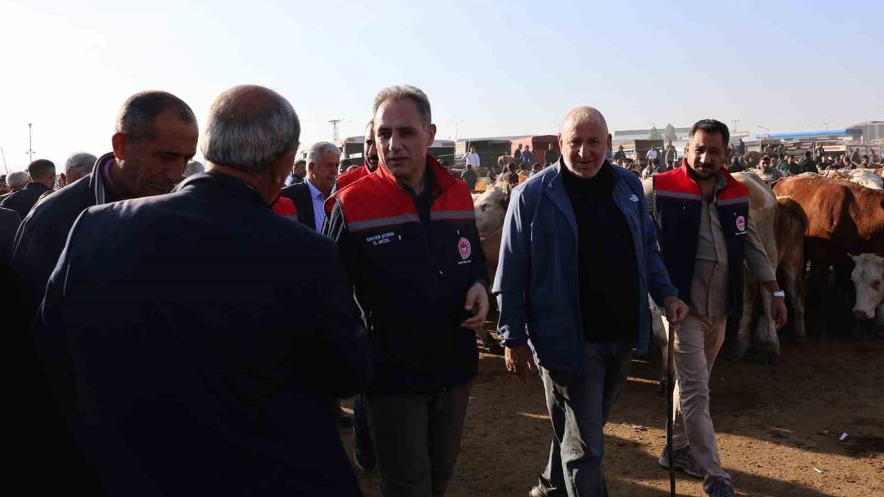 Kars hayvan pazarında sağlık ve güvenlik odaklı sıkı denetim