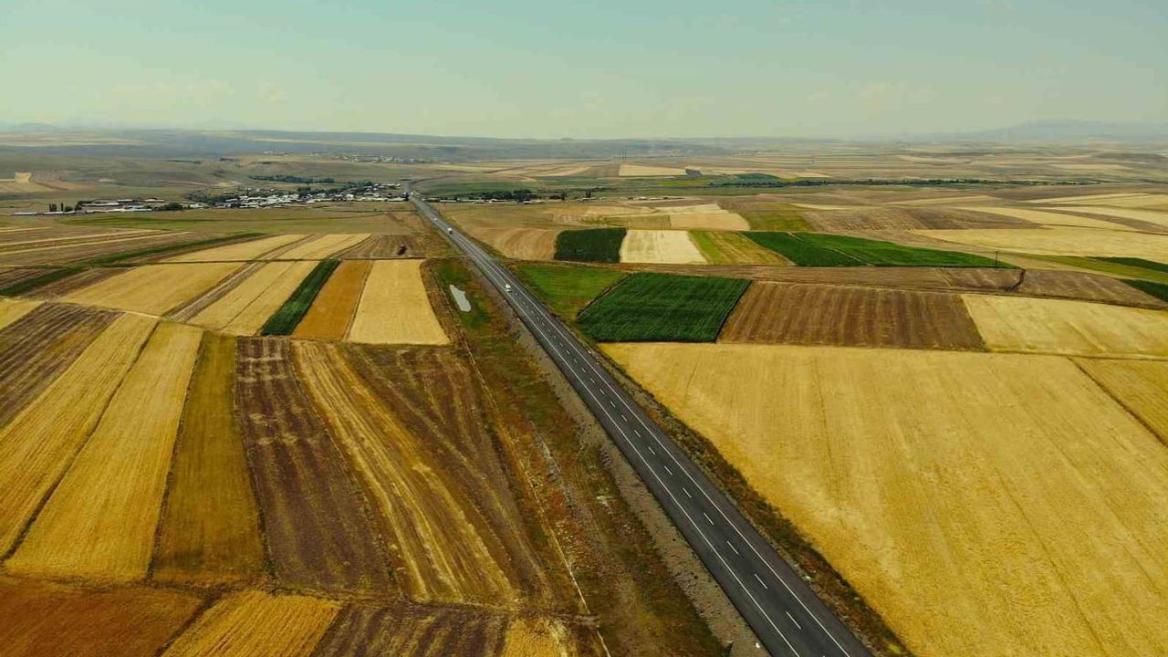 Kars’ın tarlaları havadan bakıldığında halı ve kilim dokusunu andırıyor