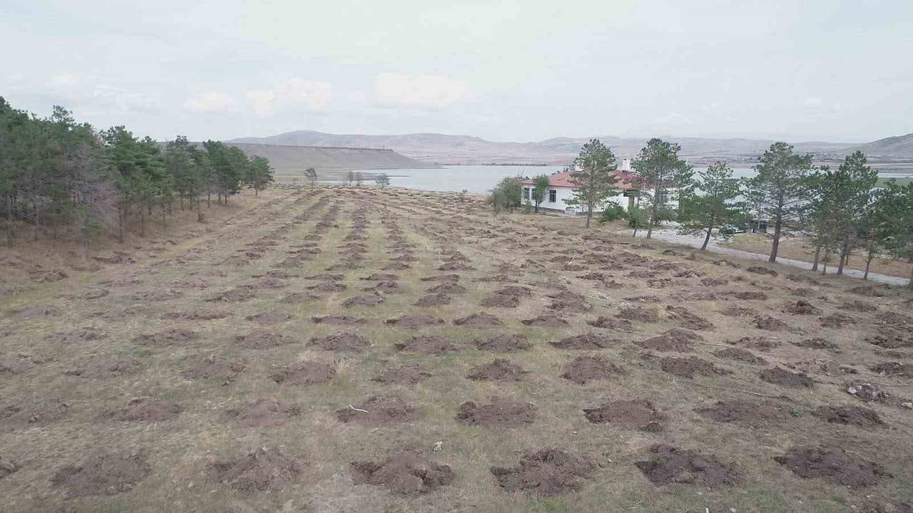 Kars'ta baraj ve gölet çevreleri ağaçlandırma ve yangın önlemleriyle korunacak