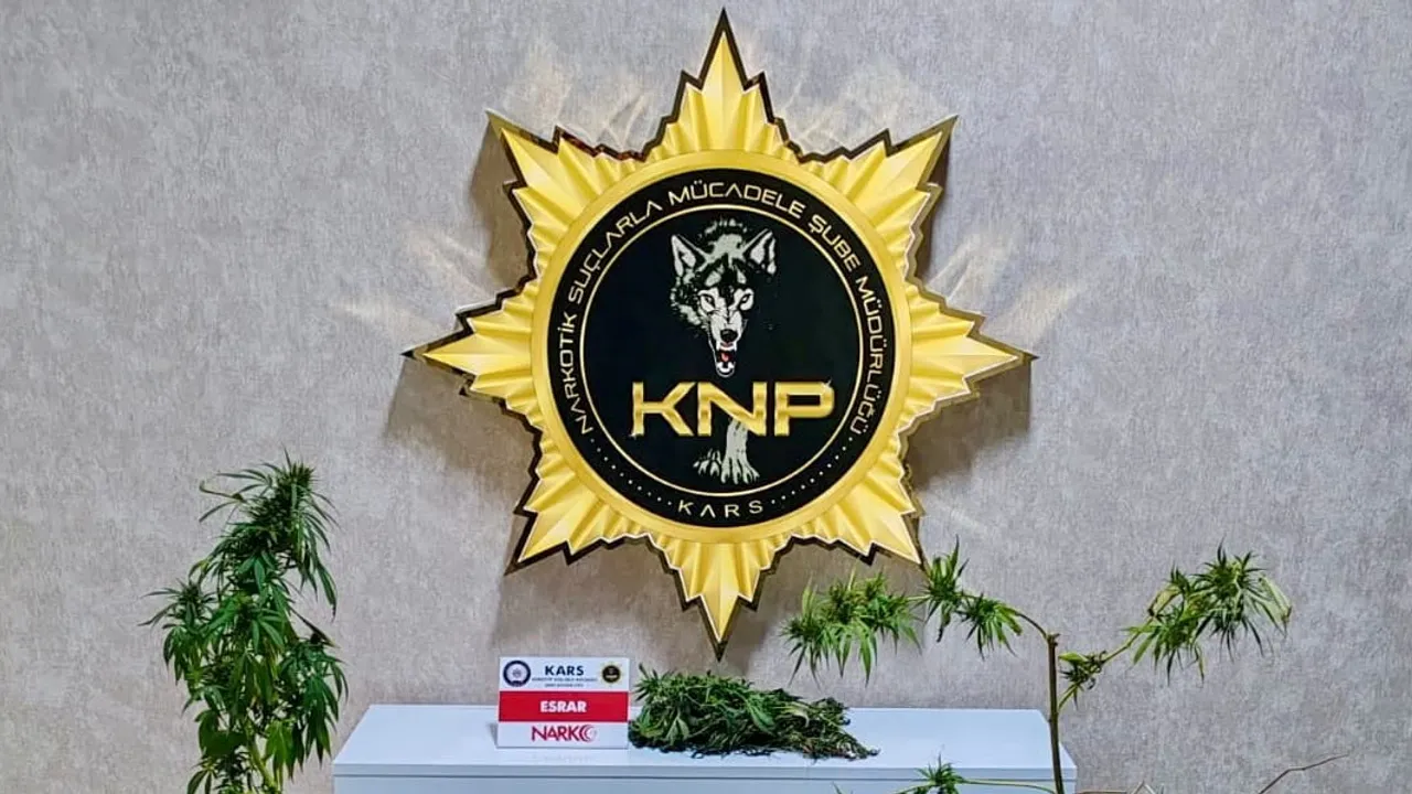 kars'ta evde yapılan operasyonda 272,55 gram esrar ve 6 kök kenevir ele geçirildi