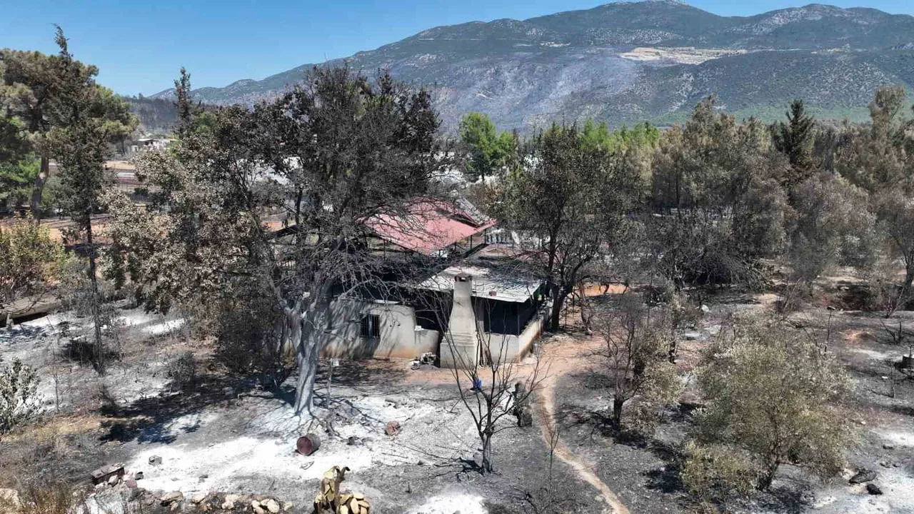 Kaş'ta yangın sonrası toparlanma: sosyolog ve tarım ekipleri sahaya indi