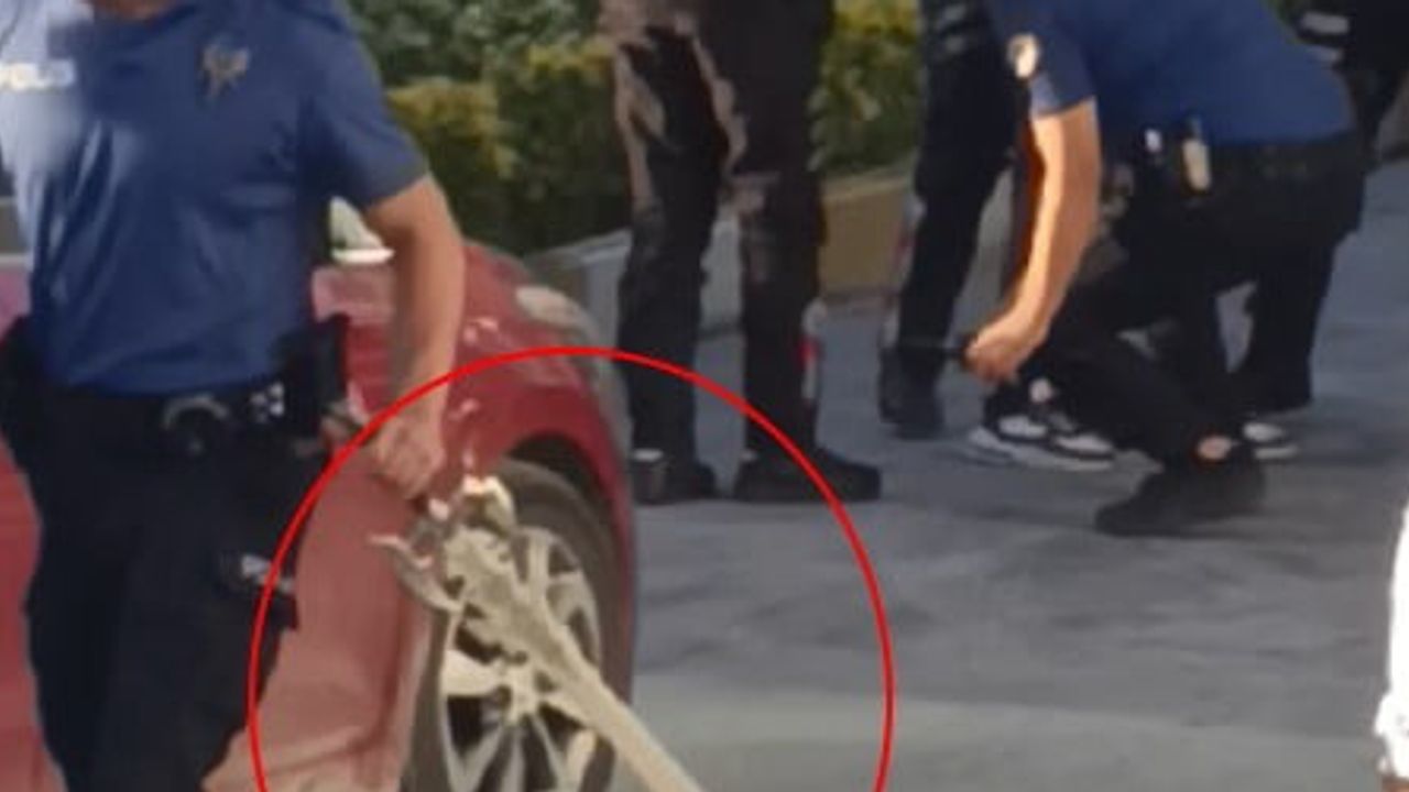 Kastamonu Belediyesi önünde silah ve kılıçla bekleyen kişi ikna edilerek gözaltına alındı