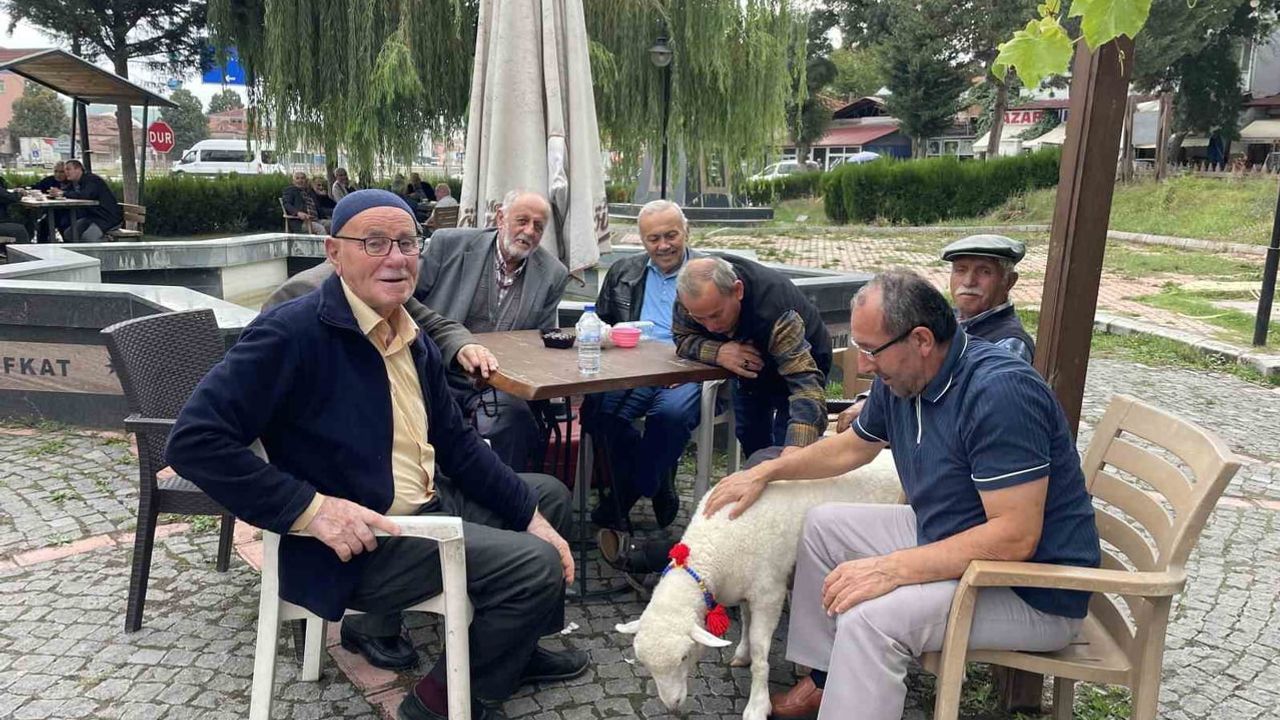 Kavak'ın küçük elçisi Tertip mahalleye neşe kattı