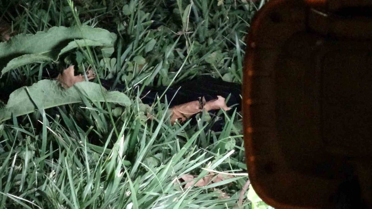 Kayalık parkta silahlı kavga sonrası iki şüpheli adli kontrolle serbest