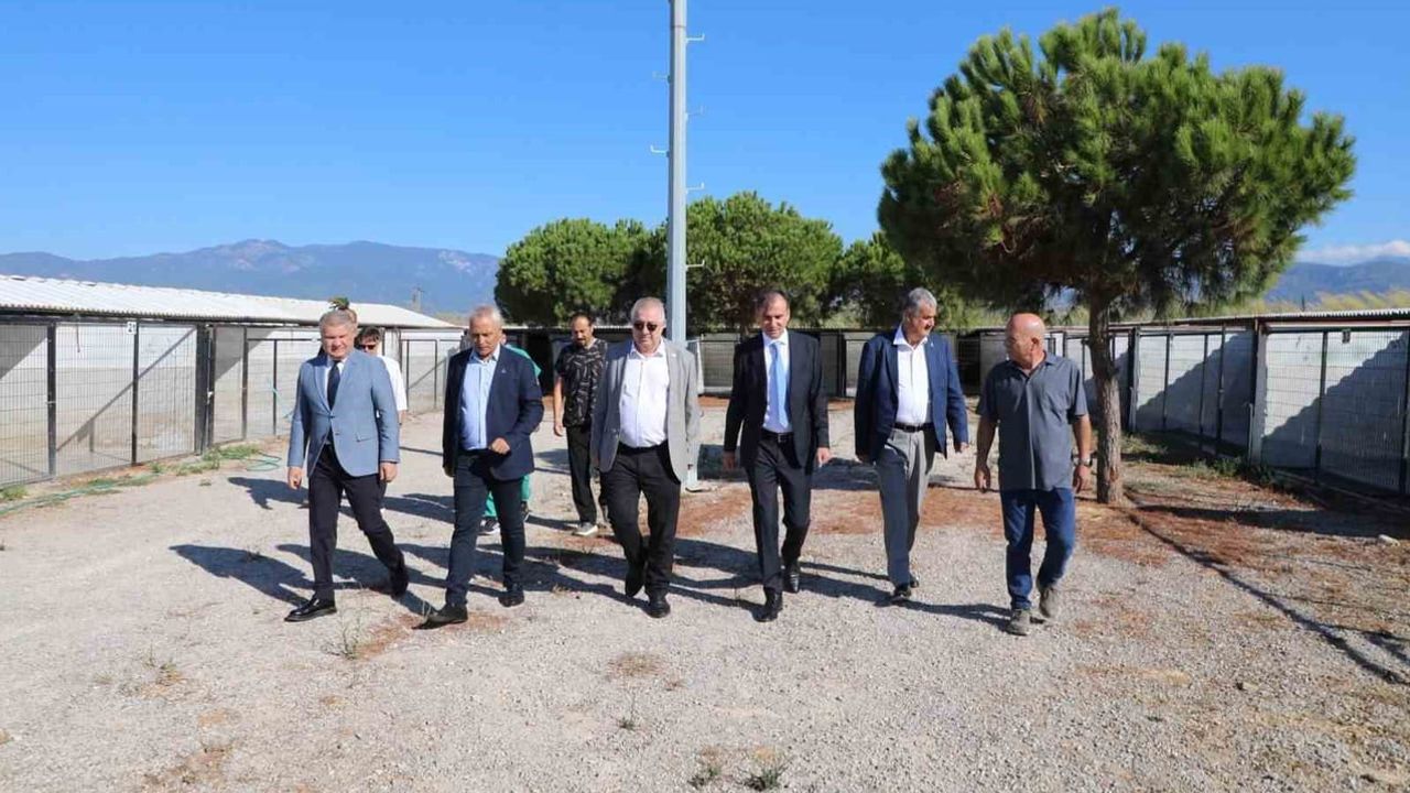 Kaymakam Engin merkezde can dostların yaşam koşullarını masaya yatırdı