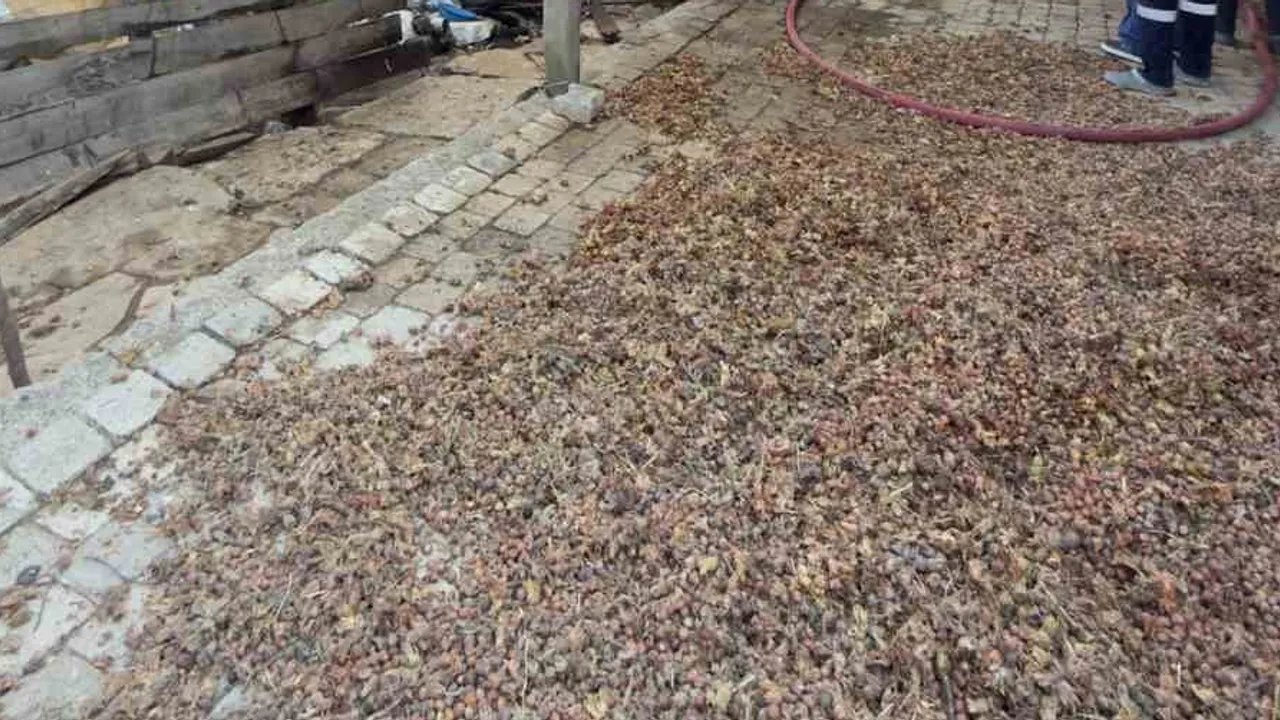 Kaynarca'da iki katlı evten yükselen alevler itfaiyenin müdahalesiyle söndürüldü