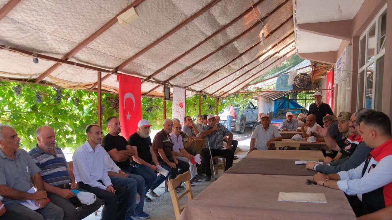Kemaliye'de tarım arazileri canlanıyor: üreticilere yüzde 75 hibeyle mercimek tohumu