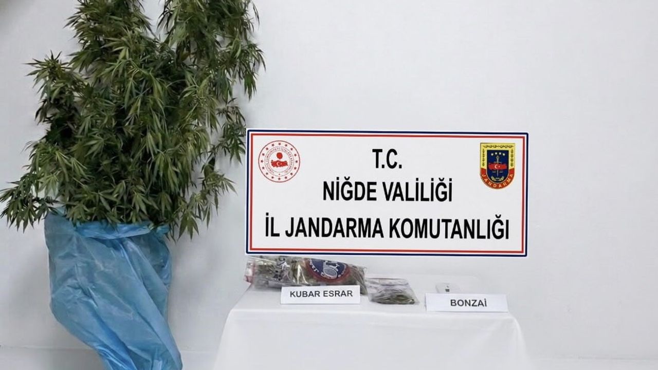 Kemerhisar'da jandarmadan ev baskını: uyuşturucu ve kenevir ele geçirildi