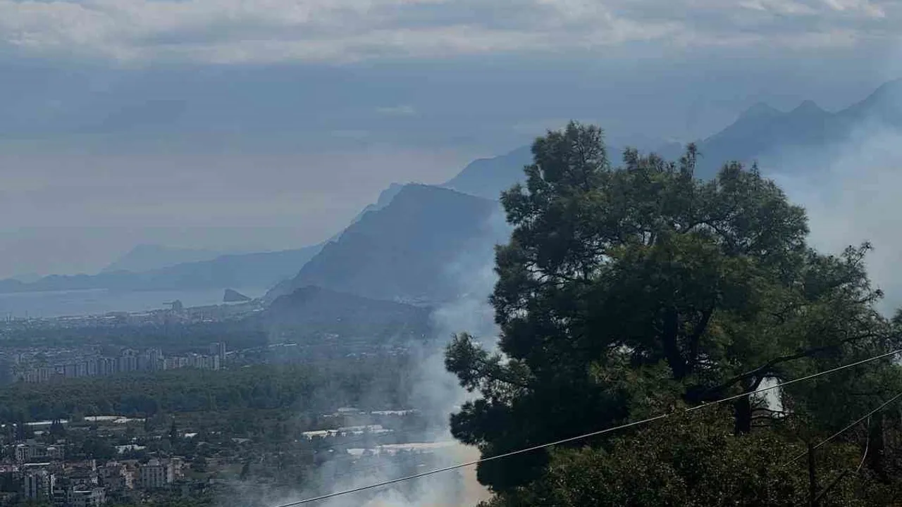 Kepez Santral Mahallesi'nde ağaçlık alandaki yangına geniş çaplı müdahale