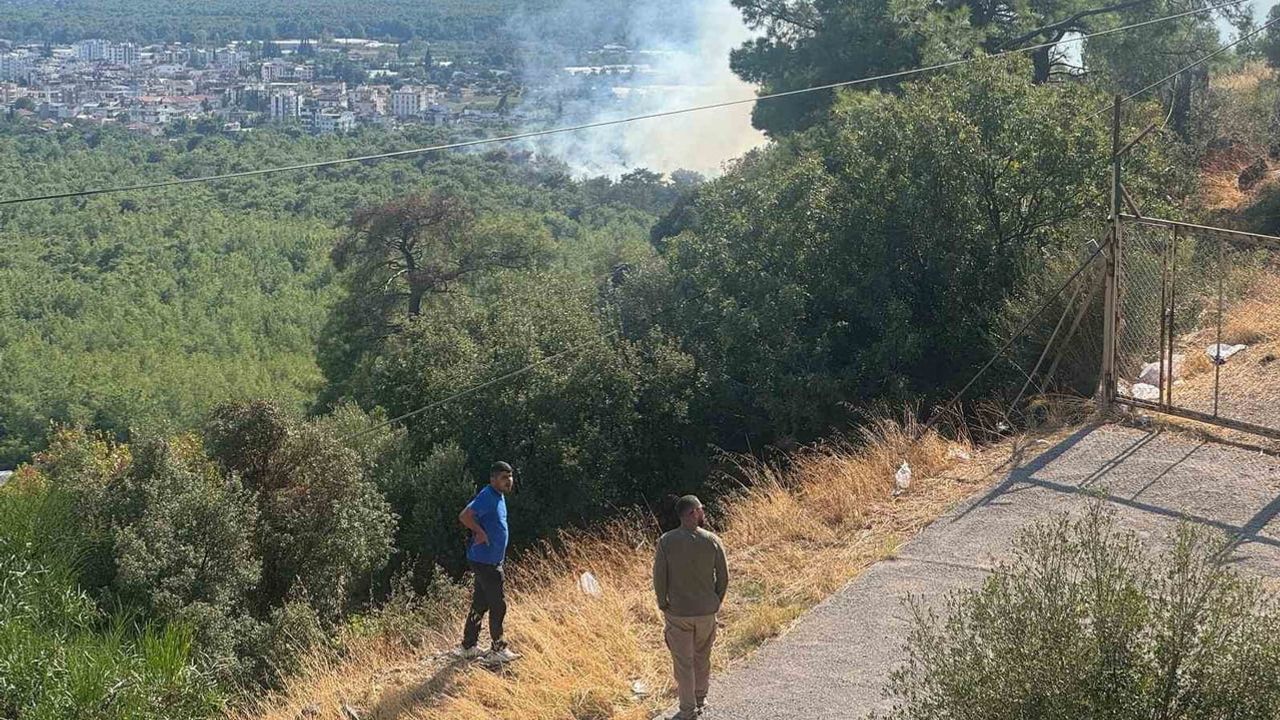 Kepez'te orman yangını hızlı müdahaleyle kontrol altına alındı, mahalle seferber oldu