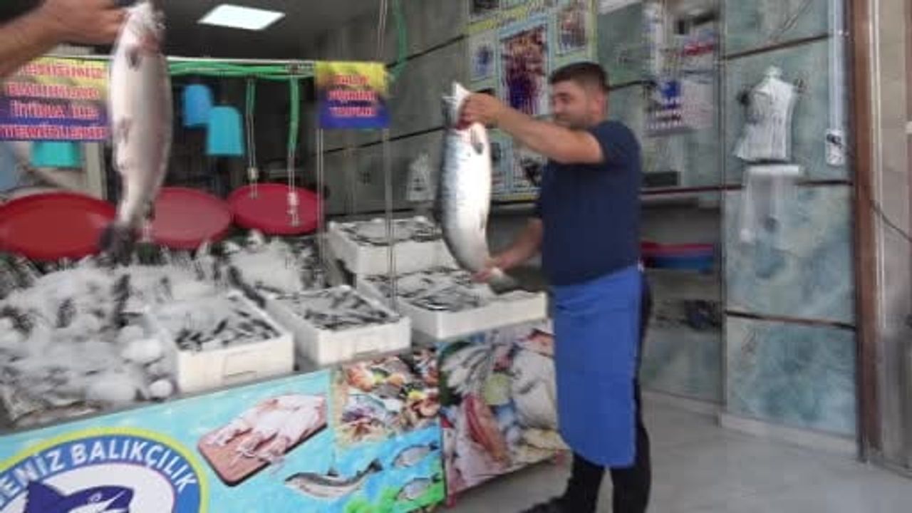 Kilis'te deniz mevsimi başladı: tezgahlar yeni çeşitlerle canlandı