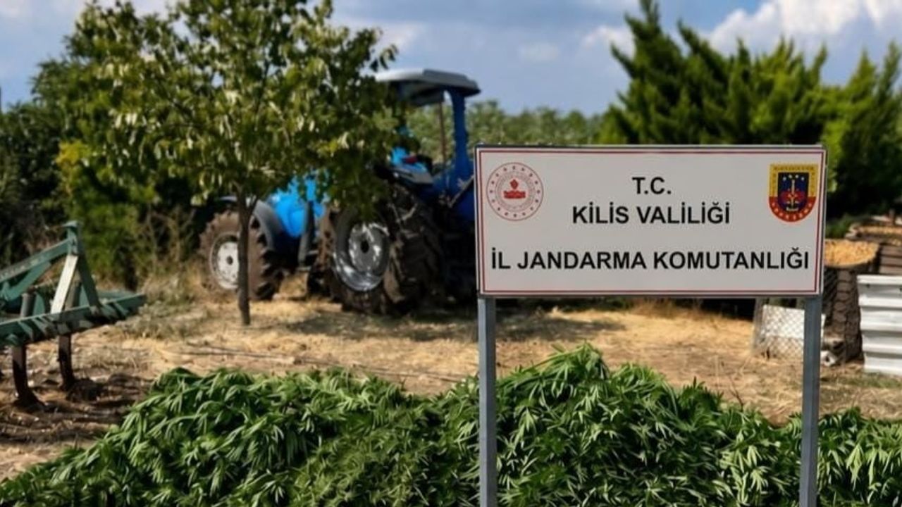 Kilis'te takip sonucu 40 kilo 500 gram kubar esrar ve 65 kenevir kökü bulundu