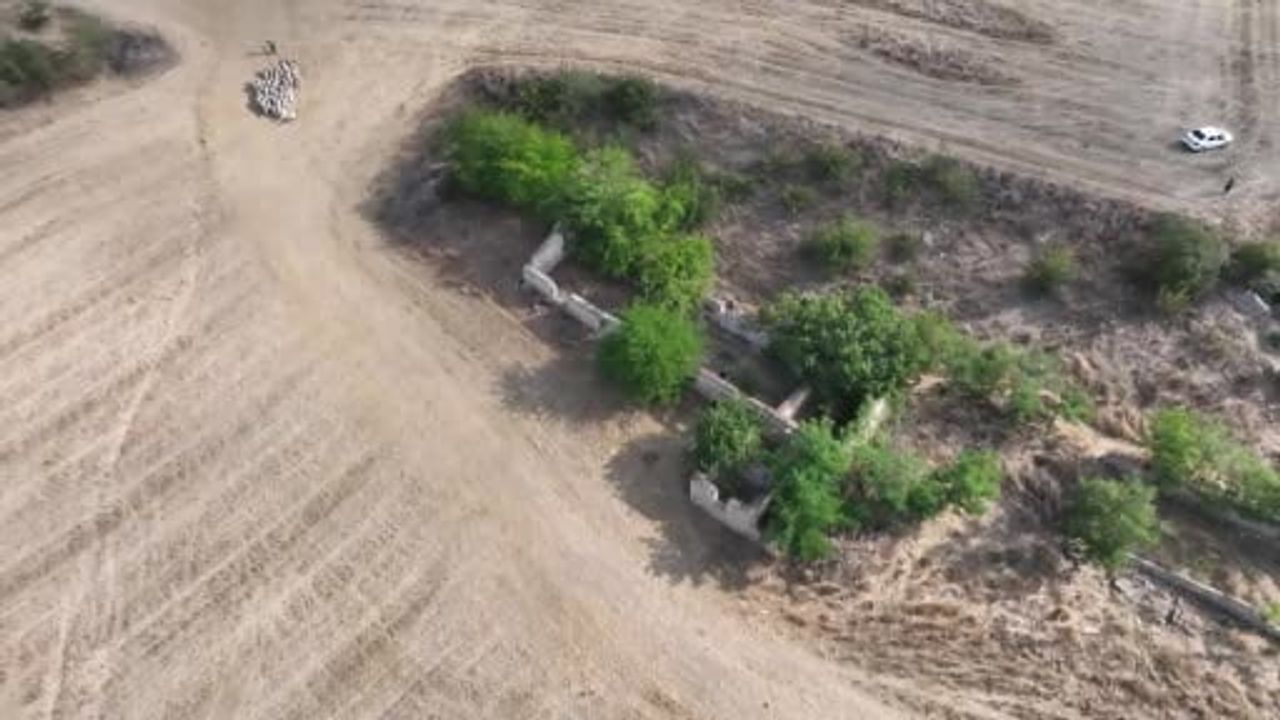 Kırklareli'nde Şeytandere mevkisinde kaçak kazı operasyonu: 5 kişi tutuklandı