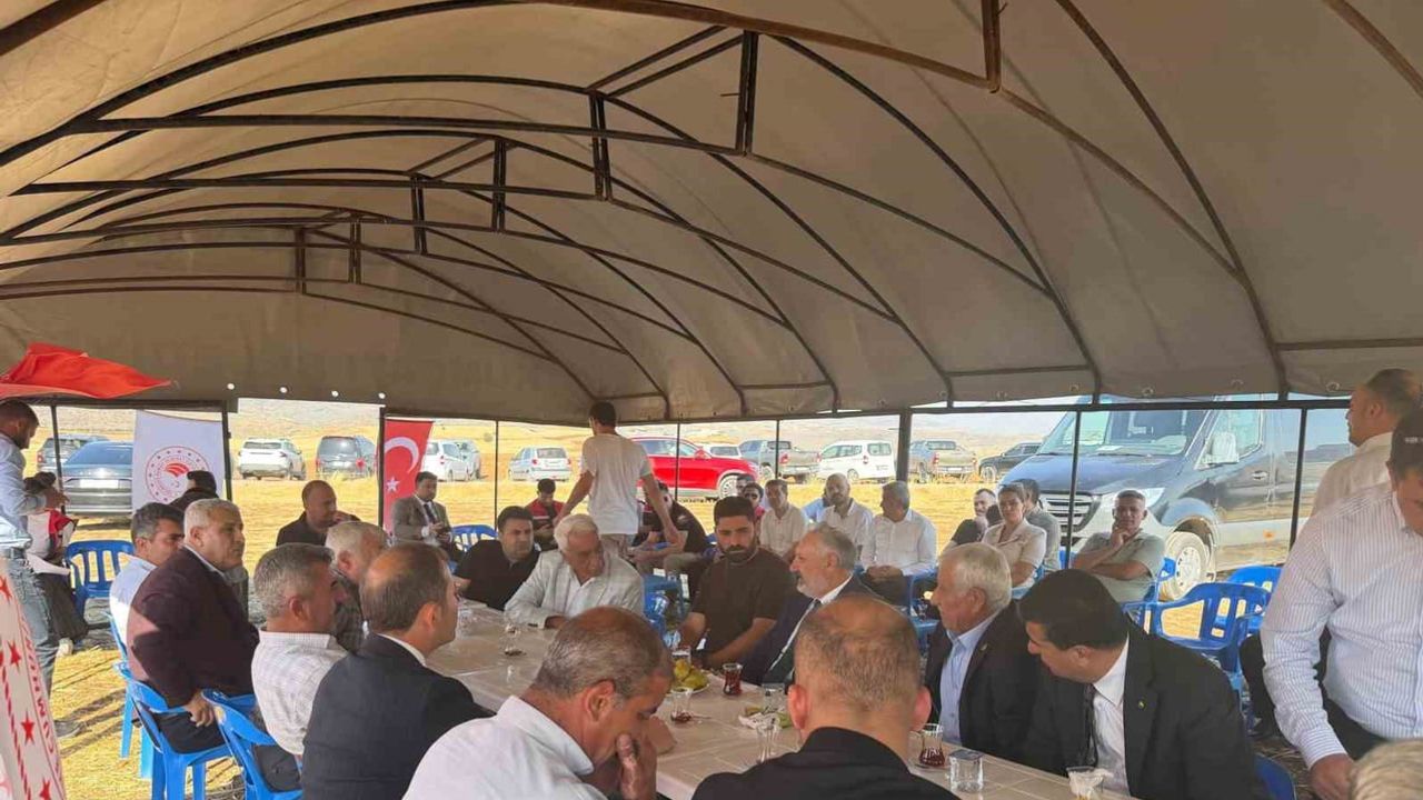 Kırsal kalkınmayla hayvancılığa destek: Şırnak'ta 7 süt işletmesi incelendi