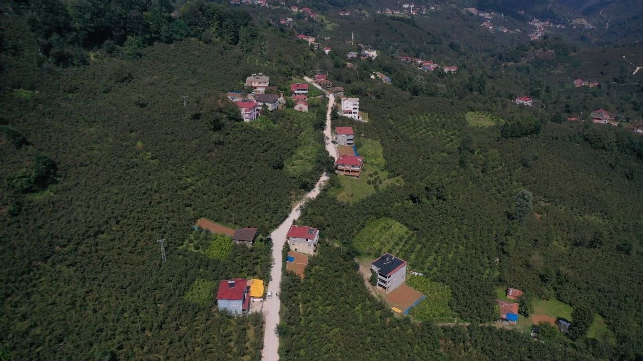 Kırsalda toz ve çamur sona eriyor: Ordu'da 1,7 kilometrelik yol betonlandı