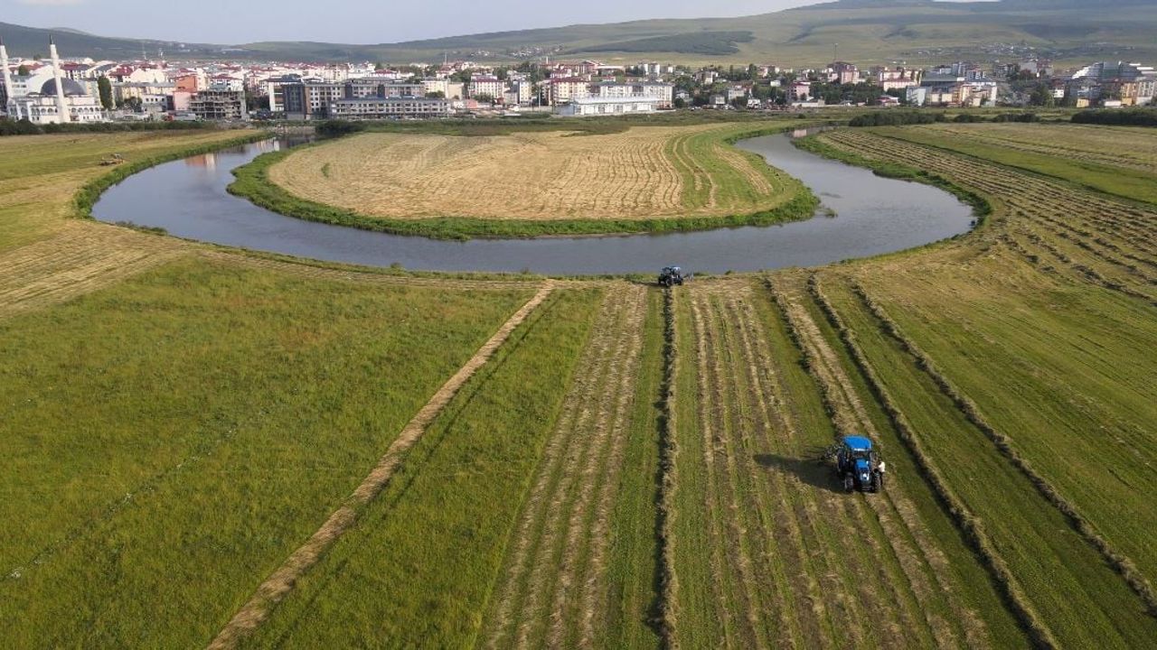 Kışın yem depolama telaşı Ardahan ovalarını hareketlendirdi