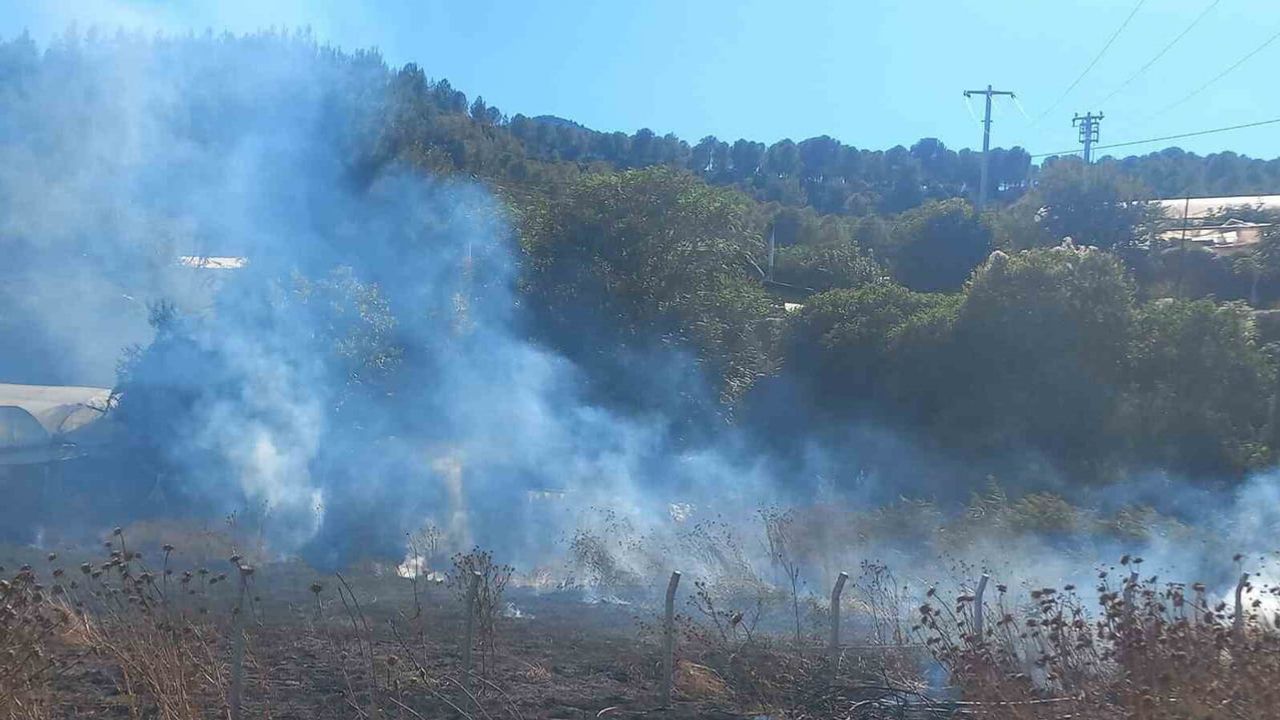 Kıvılcımla başlayan ot yangını Hamitabat'ta sera ve depoyu etkiledi