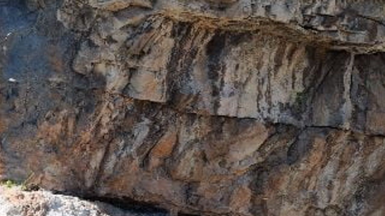 Kızıl akbabalar Artvin'in kayalıklarında yaşam kesitleri verdi