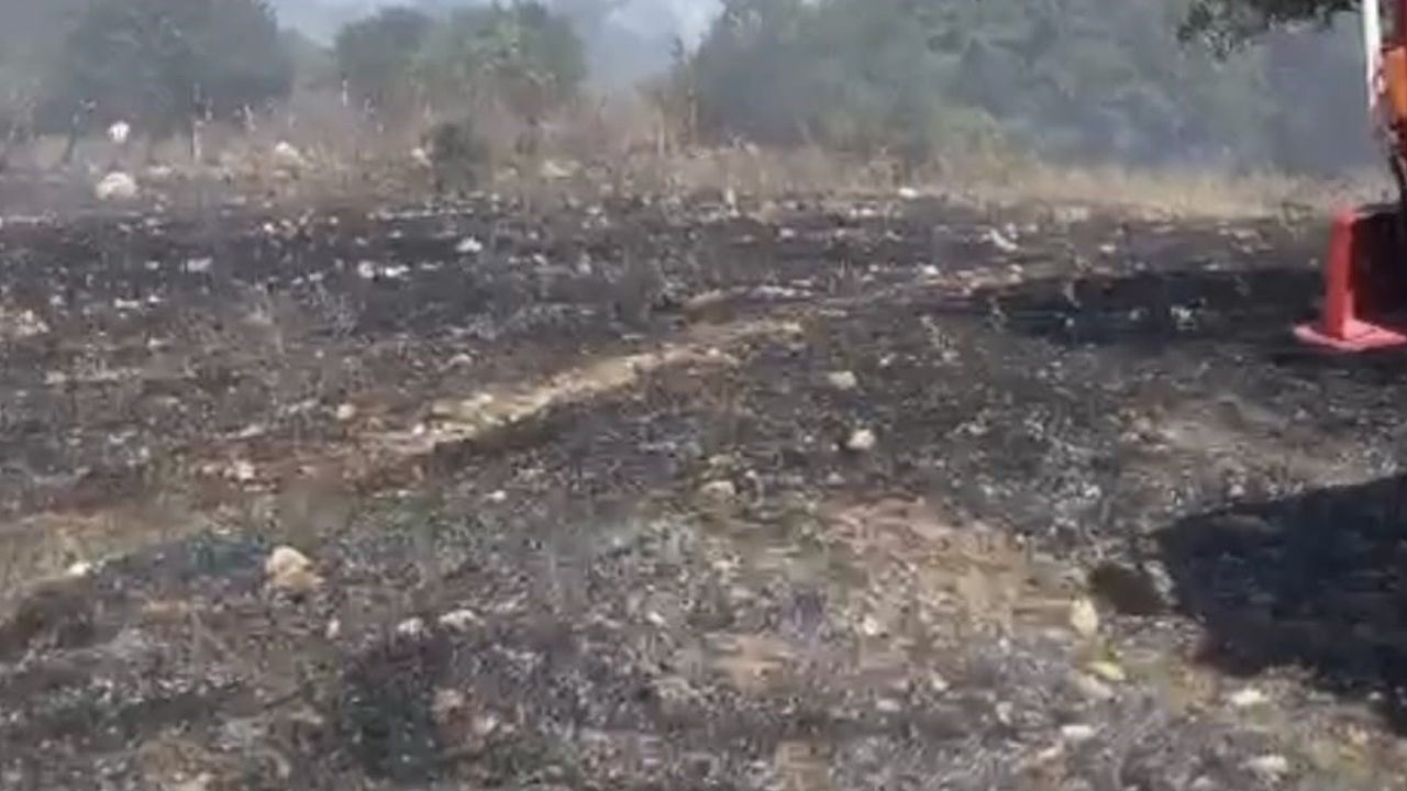 Kocaavşar yakınlarında alevlerle mücadele sürüyor