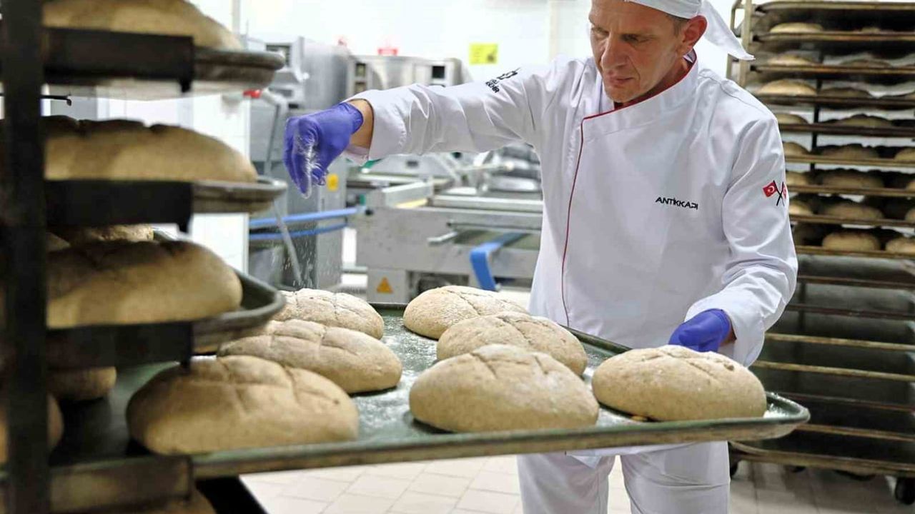 kocaeli'de halk ekmek büfelerine tam buğday ekmeği geldi