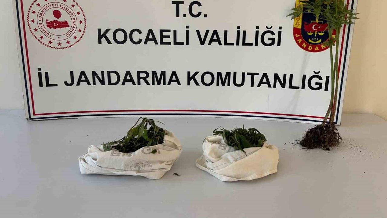 Kocaeli'de üç adrese eş zamanlı baskın: bin 12 hap ve 1 kilo 37 gram esrar ele geçirildi